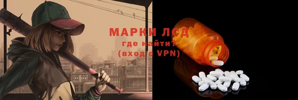 трава Новозыбков