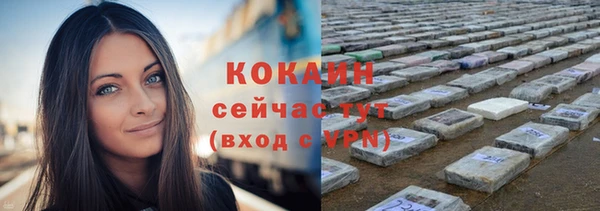 бошки Новодвинск