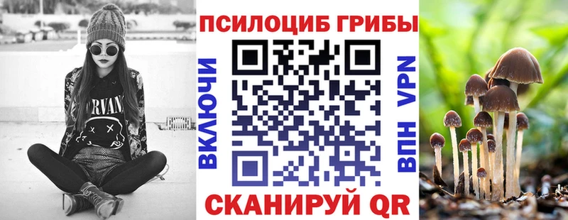 кракен зеркало  закладки  Шиханы  Галлюциногенные грибы Psilocybe 